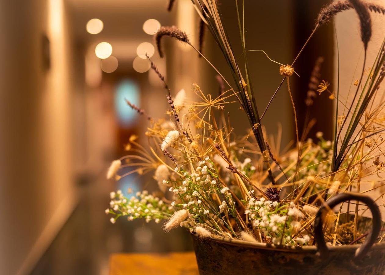 Hostal Restaurante Ventasierra Valdore Экстерьер фото